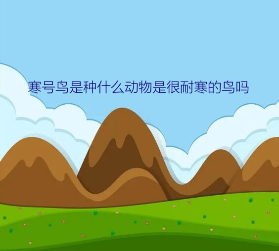 寒号鸟是种什么动物是很耐寒的鸟吗