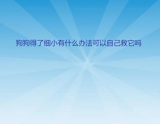 狗狗得了细小有什么办法可以自己救它吗