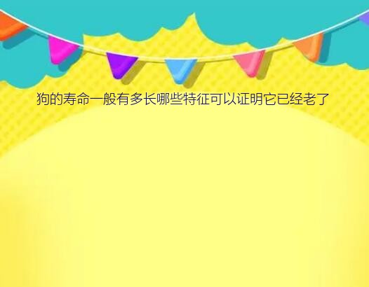 13年的狗是不是很老了（狗的寿命一般有多长哪些特征可以证明它已经老了）