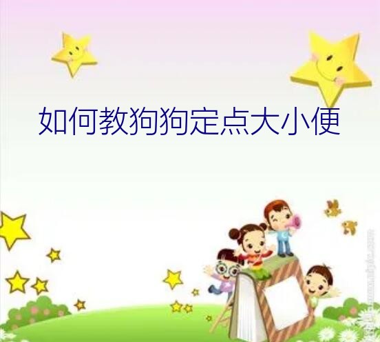 如何教狗狗定点大小便