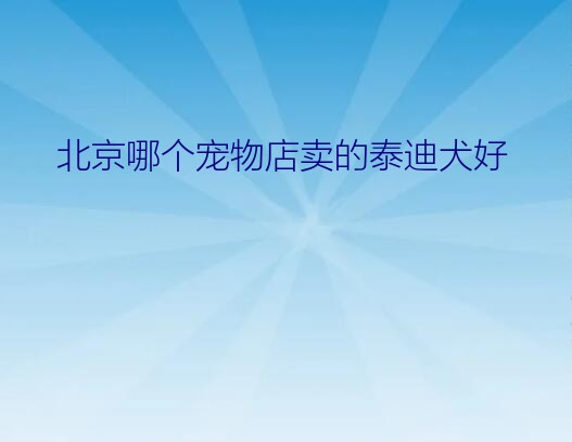 北京哪个宠物店卖的泰迪犬好