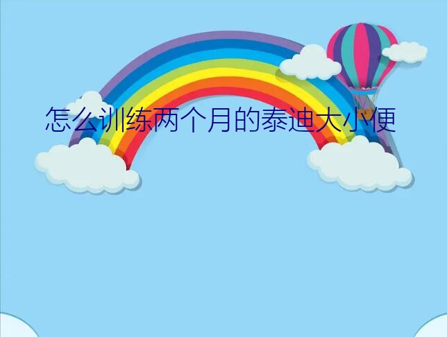 怎么训练两个月的泰迪大小便？2个月大的小泰迪怎么训练它到该去的地方大小便