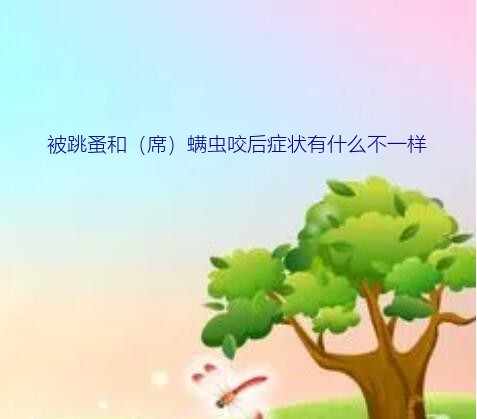 被跳蚤和（席）螨虫咬后症状有什么不一样