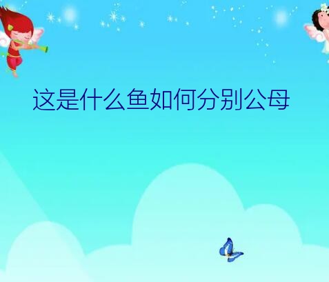 这是什么鱼如何分别公母