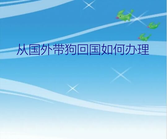 从国外带狗回国如何办理？从科威特带猫咪回中国需要什么手续