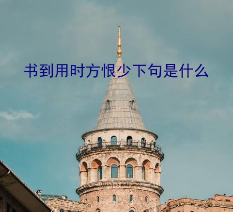 书到用时方恨少下句是什么