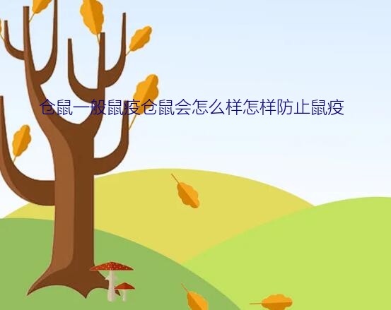 仓鼠一般鼠疫仓鼠会怎么样怎样防止鼠疫