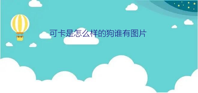 可卡是怎么样的狗谁有图片