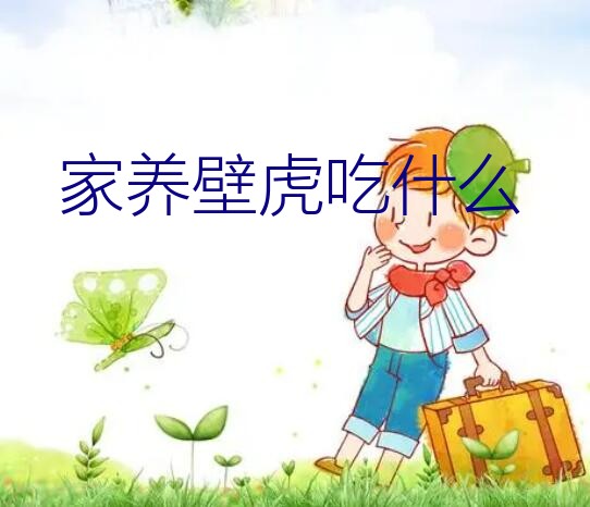 壁虎吃什么食物家养（家养壁虎吃什么）