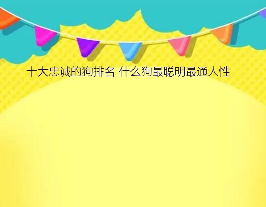 十大忠诚的狗排名 什么狗最聪明最通人性？什么中型犬看家护院