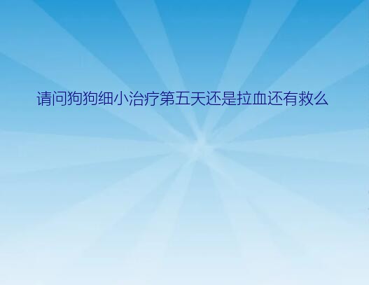 请问狗狗细小治疗第五天还是拉血还有救么