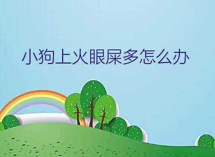 小狗上火眼屎多怎么办？小狗鼻子干 有眼屎 拉肚子 不吃东西