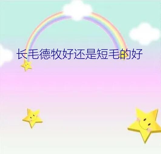 长毛德牧好还是短毛的好