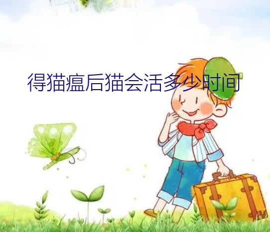 得猫瘟后猫会活多少时间