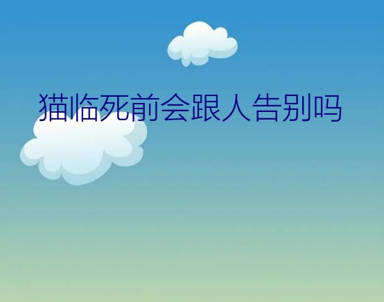 猫临死前会跟人告别吗？猫咪的主人换了之后，它会伤心吗