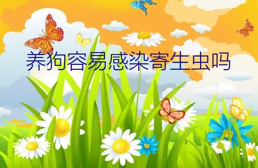 养狗容易感染寄生虫吗