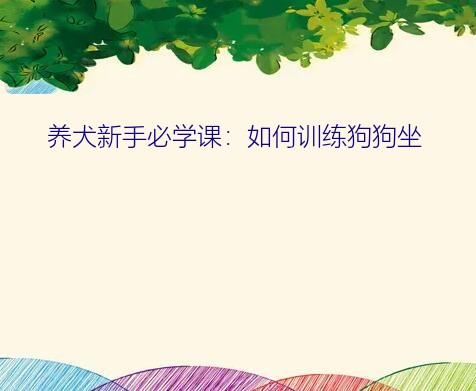 养犬新手必学课：如何训练狗狗坐