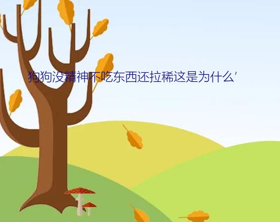 狗狗没精神不吃东西还拉稀这是为什么’