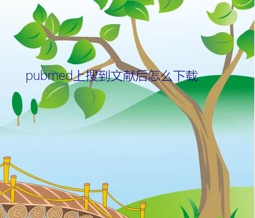 pubmed上搜到文献后怎么下载？小狗文献下载文献快吗