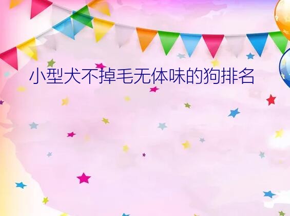 小型犬不掉毛无体味的狗排名？查理王犬掉毛原因