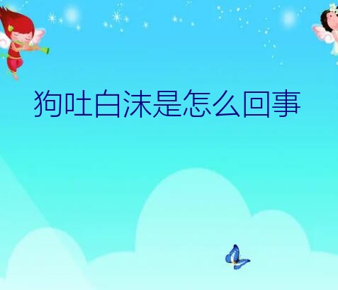 狗吐白沫是怎么回事？小狗吐白沫、拉稀是怎么回事