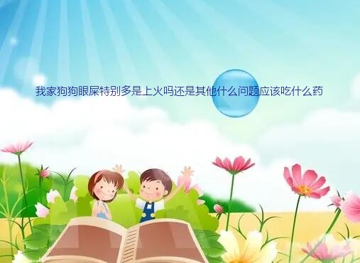 我家狗狗眼屎特别多是上火吗还是其他什么问题应该吃什么药