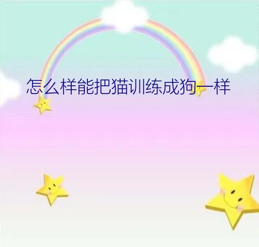 怎么样能把猫训练成狗一样