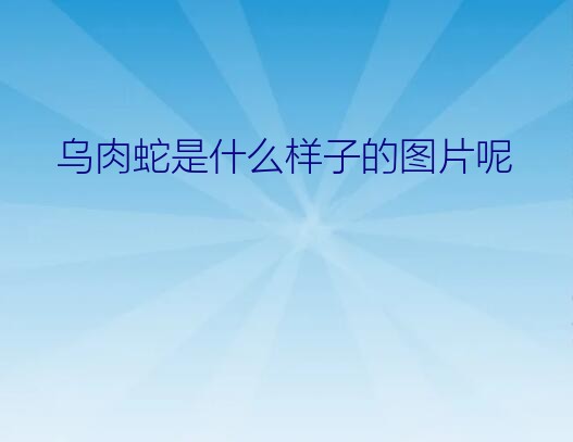 乌肉蛇是什么样子的图片呢？双头蛇是什么意思