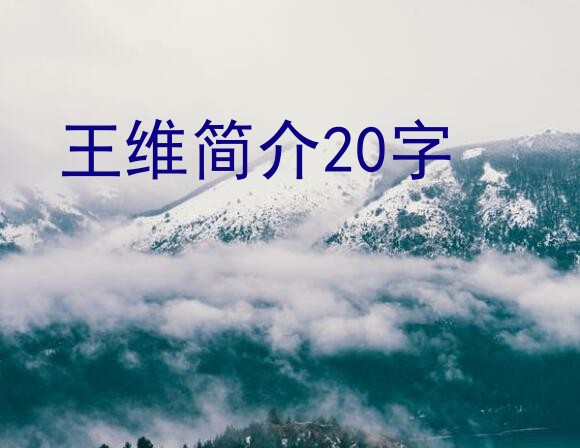 王维简介20字