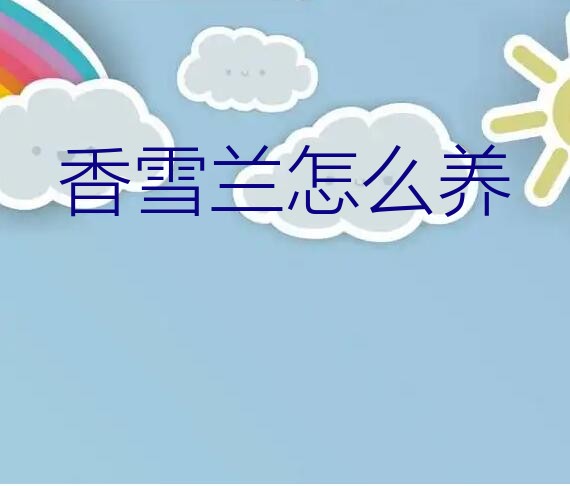 香雪兰怎么养