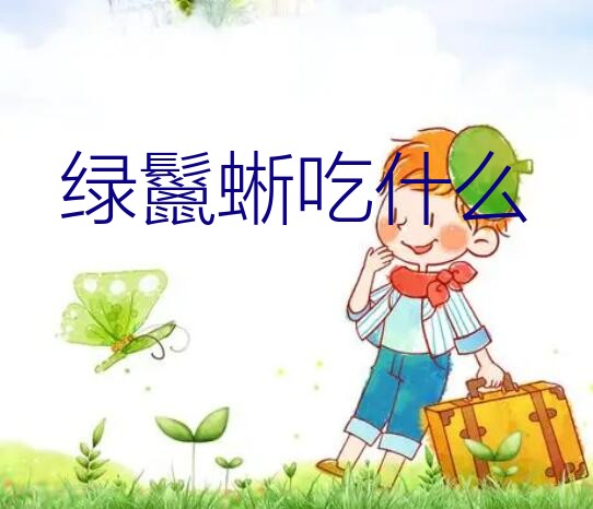 绿鬣蜥吃什么？如何养好绿鬣蜥