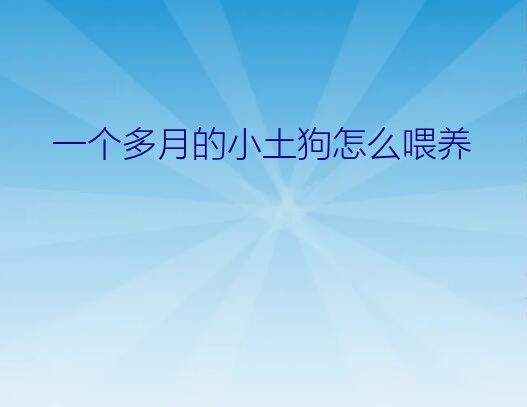 中华田园犬幼犬怎么喂（一个多月的小土狗怎么喂养）