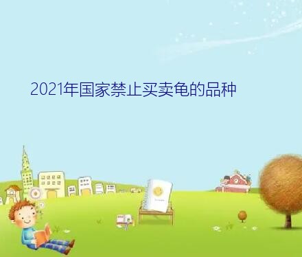 2021养石金钱龟违法吗（2021年国家禁止买卖龟的品种）