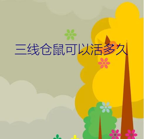 银狐仓鼠可以活几年（三线仓鼠可以活多久）