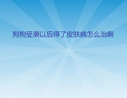 狗狗受潮以后得了皮肤病怎么治啊？因为潮湿的原因狗狗身上起红点怎么治