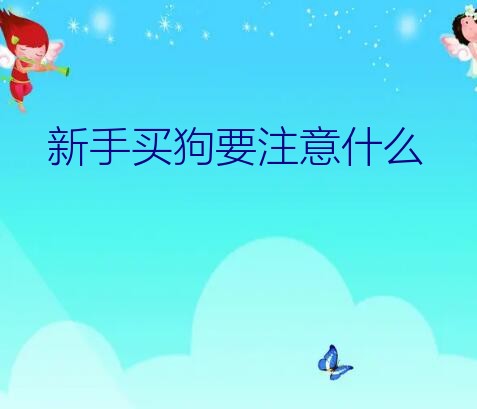 新手买狗要注意什么？在狗市买狗应注意什么