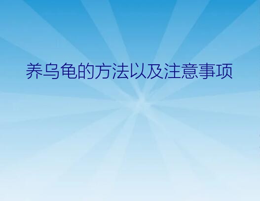 养乌龟的方法以及注意事项