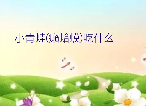 小青蛙(癞蛤蟆)吃什么