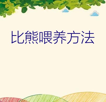 比熊喂养方法