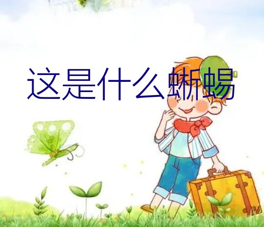 这是什么蜥蜴？农村常见动物有哪些