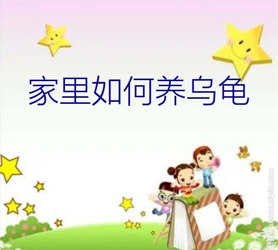 家里如何养乌龟