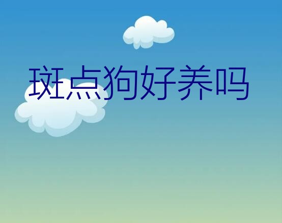 斑点犬的优点和缺点（斑点狗好养吗）