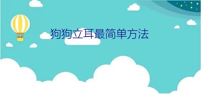 狗狗立耳最简单方法？关于腊肠狗的问题