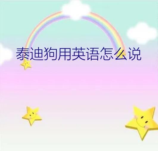 泰迪狗用英语怎么说