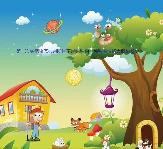 德牧幼犬多少钱一只（第一次买德牧怎么判断是不是纯种狗，纯种的价格大概是多少）