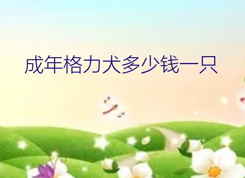 成年格力犬多少钱一只？养犬两个选择罗威纳或者杜宾应该选哪个主要护卫