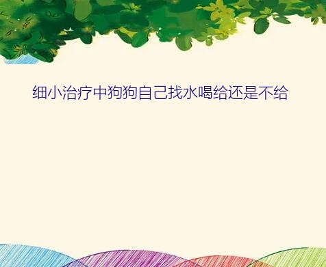 细小治疗中狗狗自己找水喝给还是不给