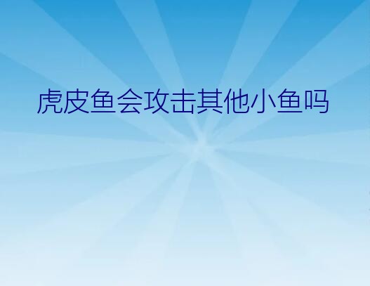 虎皮鱼会攻击其他小鱼吗