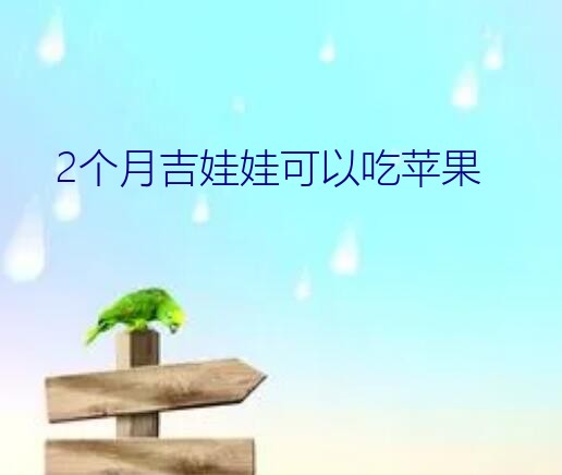 吉娃娃吃什么水果最好（2个月吉娃娃可以吃苹果）