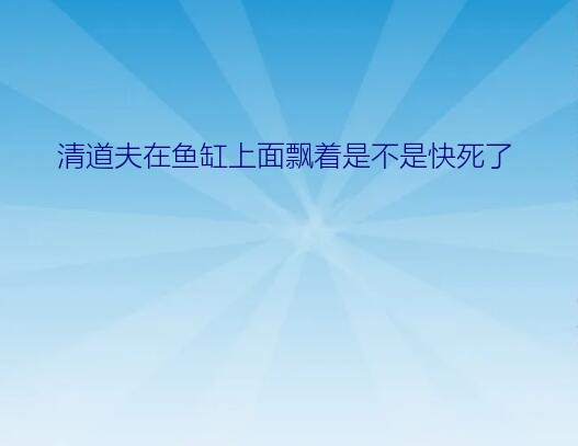 清道夫鱼临死前征兆（清道夫在鱼缸上面飘着是不是快死了）